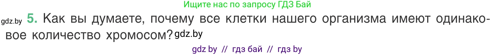 Биология, 6 класс Учебник, автор: Лисов Николай Дмитриевич, издательство Народная асвета, Минск, 2021, зелёного цвета, страница 34, номер 5, Условие