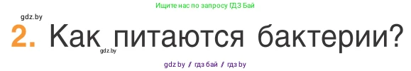 Биология, 6 класс Учебник, автор: Лисов Николай Дмитриевич, издательство Народная асвета, Минск, 2021, зелёного цвета, страница 43, номер 2, Условие