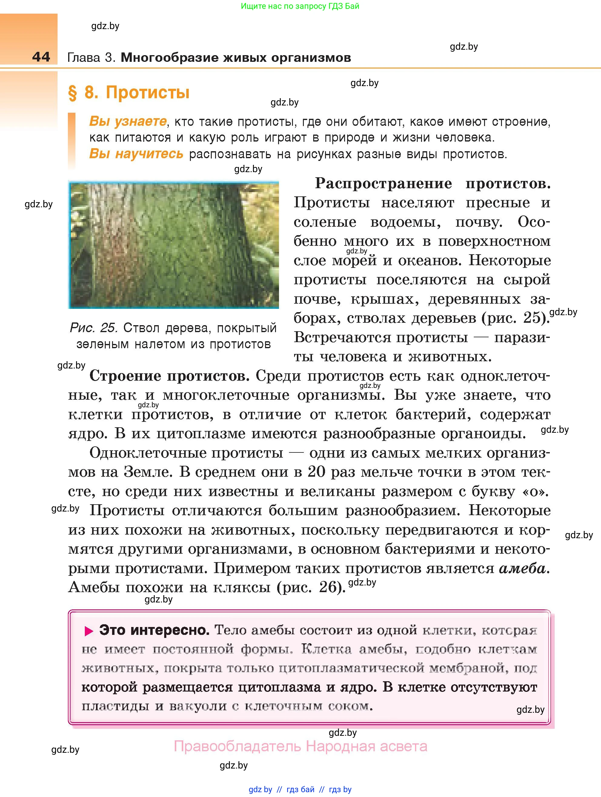 Биология, 6 класс Учебник, автор: Лисов Николай Дмитриевич, издательство Народная асвета, Минск, 2021, зелёного цвета, страница 44