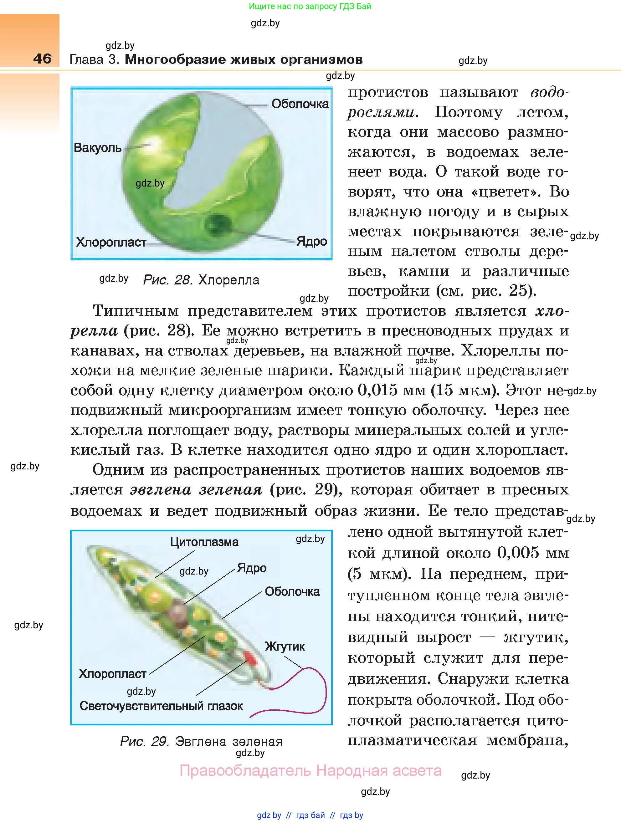 Биология, 6 класс Учебник, автор: Лисов Николай Дмитриевич, издательство Народная асвета, Минск, 2021, зелёного цвета, страница 46