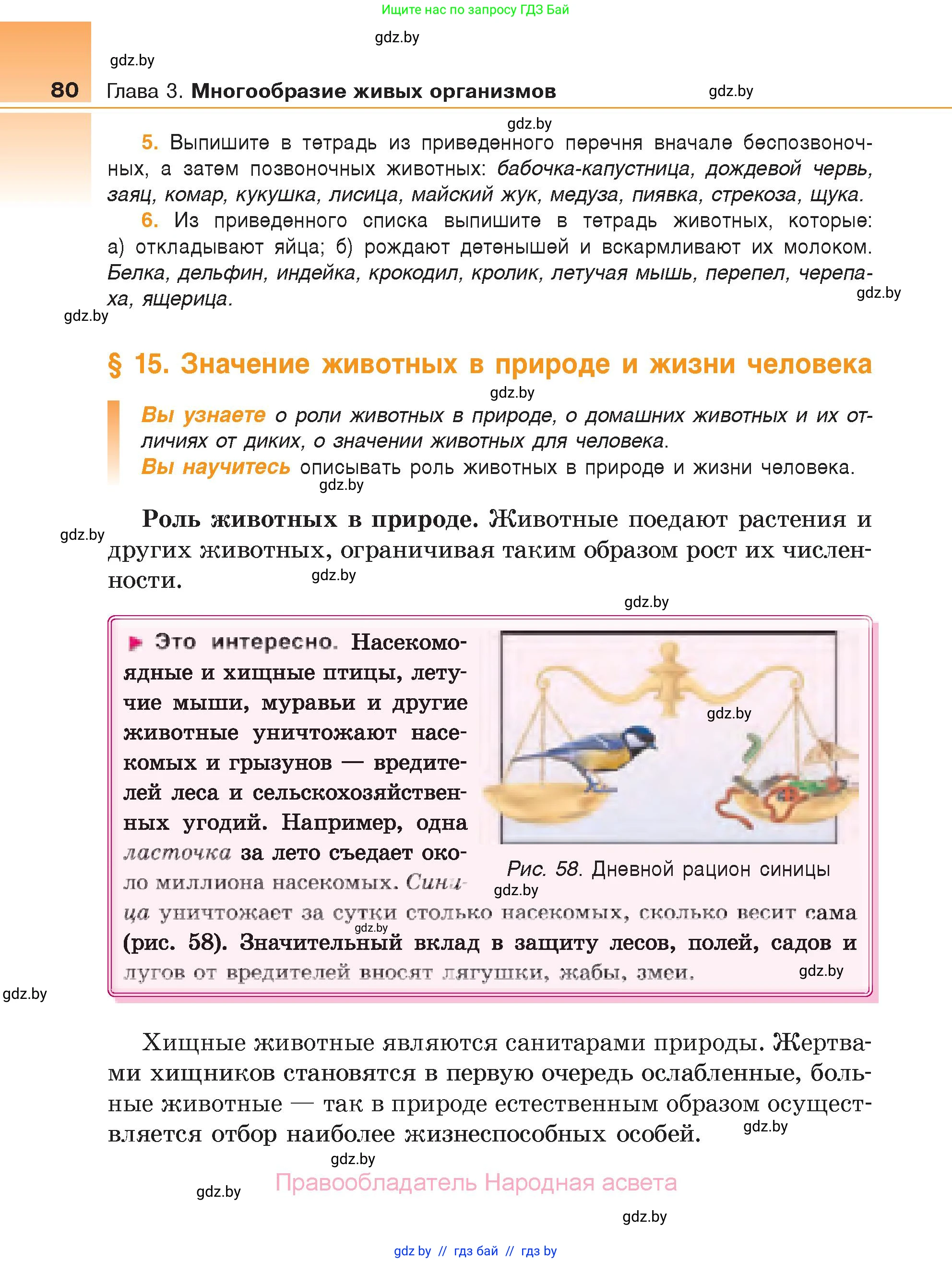 Биология, 6 класс Учебник, автор: Лисов Николай Дмитриевич, издательство Народная асвета, Минск, 2021, зелёного цвета, страница 80