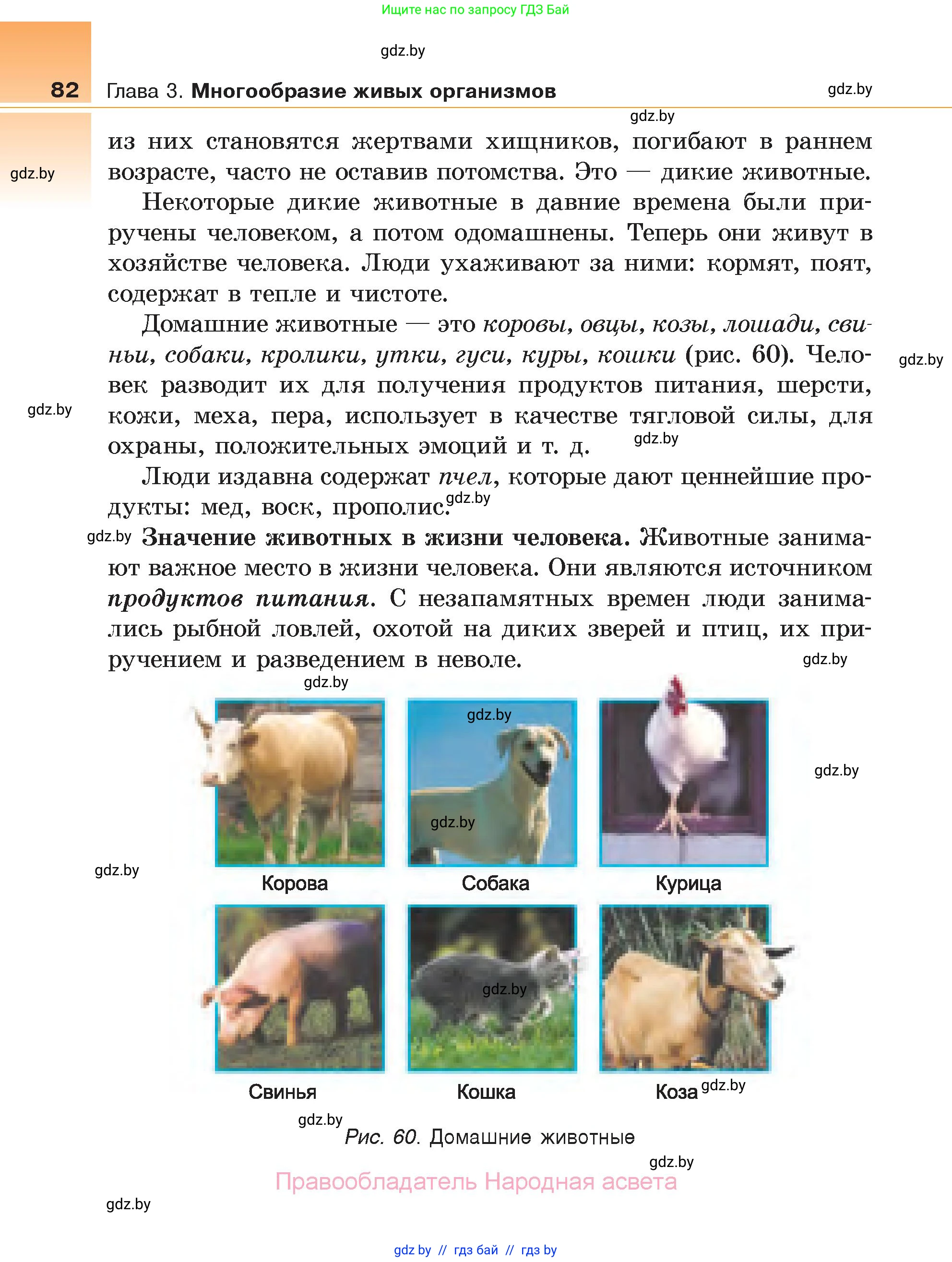 Биология, 6 класс Учебник, автор: Лисов Николай Дмитриевич, издательство Народная асвета, Минск, 2021, зелёного цвета, страница 82