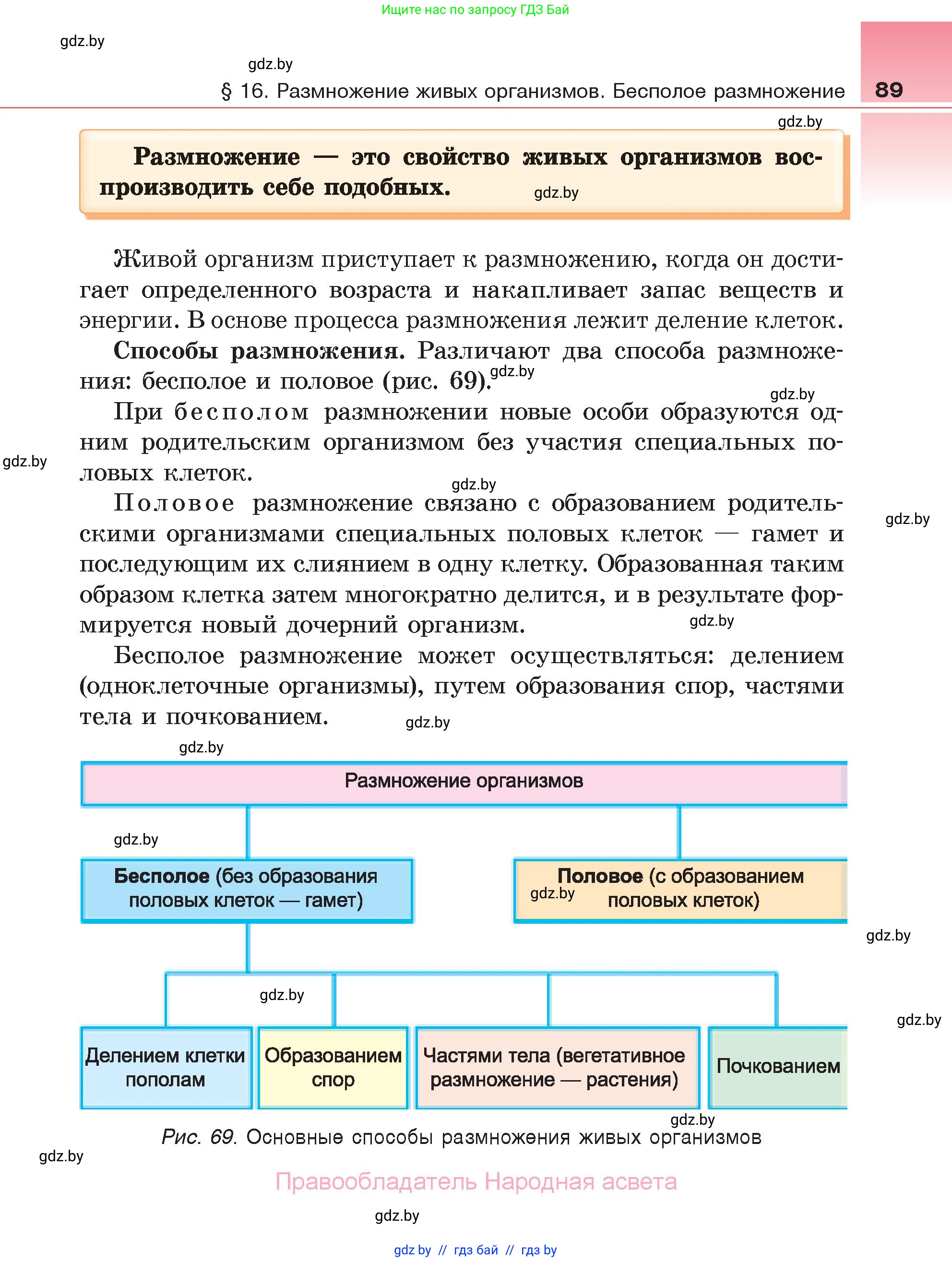 Биология, 6 класс Учебник, автор: Лисов Николай Дмитриевич, издательство Народная асвета, Минск, 2021, зелёного цвета, страница 89