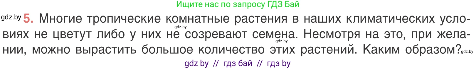 Биология, 6 класс Учебник, автор: Лисов Николай Дмитриевич, издательство Народная асвета, Минск, 2021, зелёного цвета, страница 93, номер 5, Условие