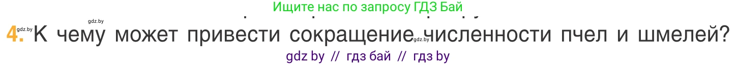 Биология, 6 класс Учебник, автор: Лисов Николай Дмитриевич, издательство Народная асвета, Минск, 2021, зелёного цвета, страница 108, номер 4, Условие