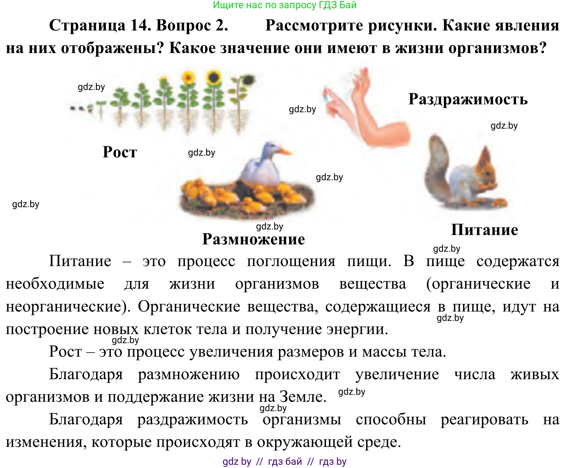 Биология, 6 класс Учебник, автор: Лисов Николай Дмитриевич, издательство Народная асвета, Минск, 2021, зелёного цвета, страница 14, номер 2, Решение