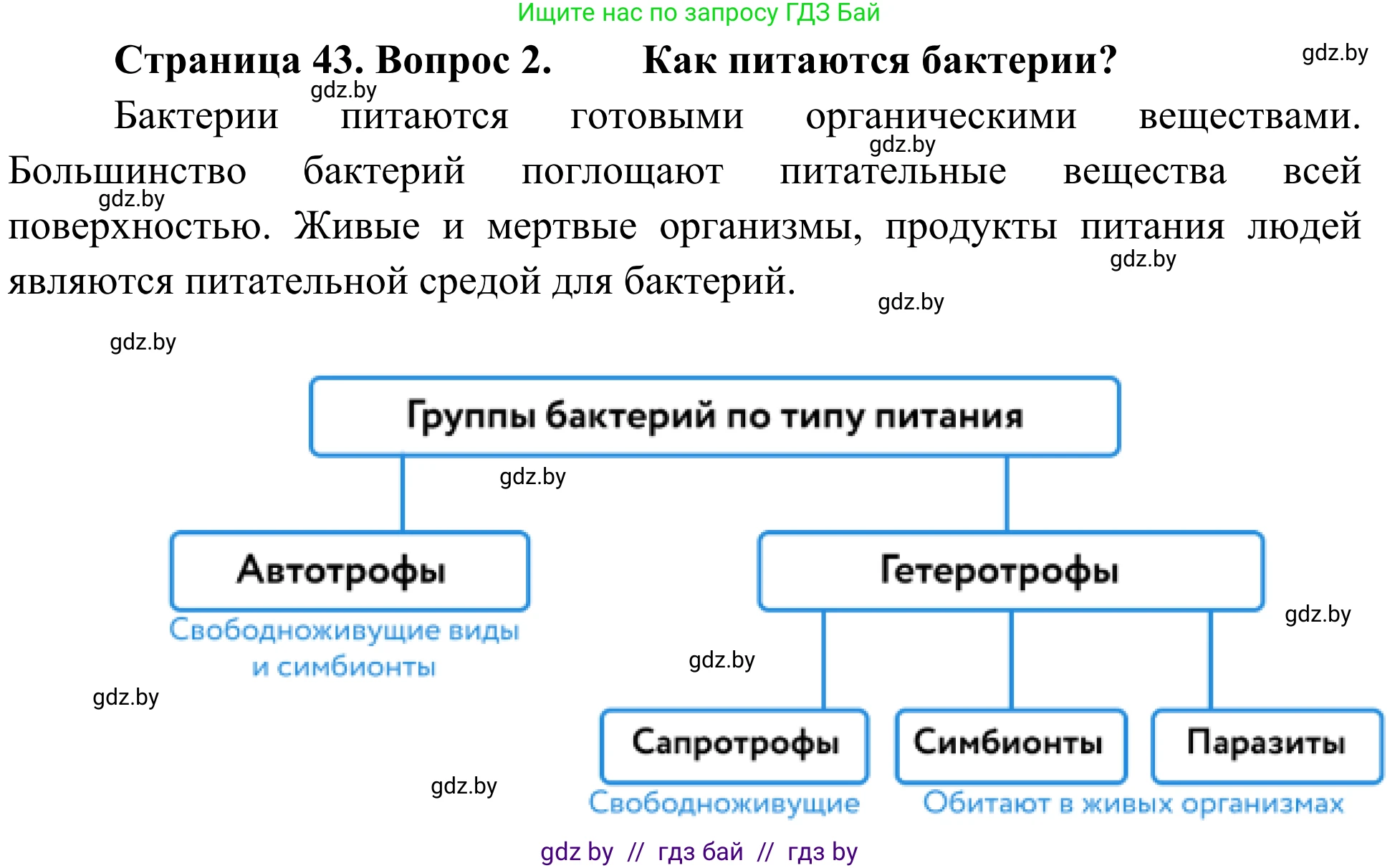 Биология, 6 класс Учебник, автор: Лисов Николай Дмитриевич, издательство Народная асвета, Минск, 2021, зелёного цвета, страница 43, номер 2, Решение
