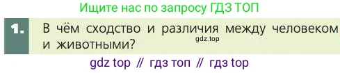 Биология, 8 класс Учебник, авторы: Пасечник Владимир Васильевич, Каменский Андрей Александрович, Швецов Глеб Геннадьевич, издательство Просвещение, Москва, 2019, страница 13, номер 1, Условие