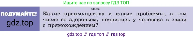 Биология, 8 класс Учебник, авторы: Пасечник Владимир Васильевич, Каменский Андрей Александрович, Швецов Глеб Геннадьевич, издательство Просвещение, Москва, 2019, страница 13, Условие