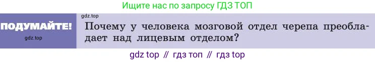 Биология, 8 класс Учебник, авторы: Пасечник Владимир Васильевич, Каменский Андрей Александрович, Швецов Глеб Геннадьевич, издательство Просвещение, Москва, 2019, страница 39, Условие