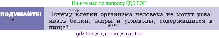 Биология, 8 класс Учебник, авторы: Пасечник Владимир Васильевич, Каменский Андрей Александрович, Швецов Глеб Геннадьевич, издательство Просвещение, Москва, 2019, страница 113, Условие