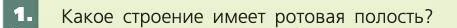 Биология, 8 класс Учебник, авторы: Пасечник Владимир Васильевич, Каменский Андрей Александрович, Швецов Глеб Геннадьевич, издательство Просвещение, Москва, 2019, страница 117, номер 1, Условие