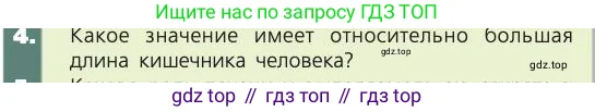 Биология, 8 класс Учебник, авторы: Пасечник Владимир Васильевич, Каменский Андрей Александрович, Швецов Глеб Геннадьевич, издательство Просвещение, Москва, 2019, страница 121, номер 4, Условие