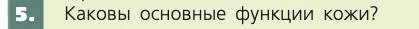 Биология, 8 класс Учебник, авторы: Пасечник Владимир Васильевич, Каменский Андрей Александрович, Швецов Глеб Геннадьевич, издательство Просвещение, Москва, 2019, страница 161, номер 5, Условие