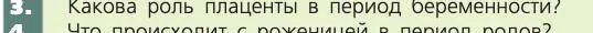 Биология, 8 класс Учебник, авторы: Пасечник Владимир Васильевич, Каменский Андрей Александрович, Швецов Глеб Геннадьевич, издательство Просвещение, Москва, 2019, страница 233, номер 3, Условие