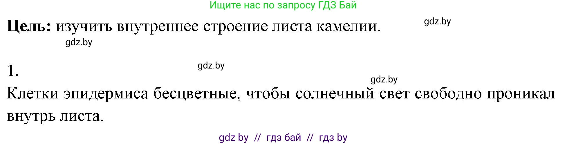Биология, 10 класс Тетрадь для лабораторных и практических работ, автор: Хруцкая Тамара Викторовна, издательство Аверсэв, Минск, 2020, зелёного цвета, страница 15, номер 1, Решение