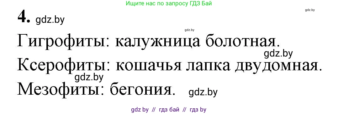 Биология, 10 класс Тетрадь для лабораторных и практических работ, автор: Хруцкая Тамара Викторовна, издательство Аверсэв, Минск, 2020, зелёного цвета, страница 23, номер 4, Решение