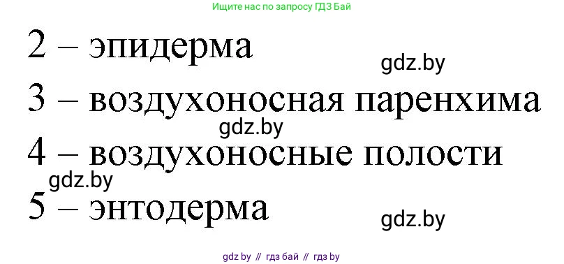 Биология, 10 класс Тетрадь для лабораторных и практических работ, автор: Хруцкая Тамара Викторовна, издательство Аверсэв, Минск, 2020, зелёного цвета, страница 23, номер 6, Решение (продолжение 2)