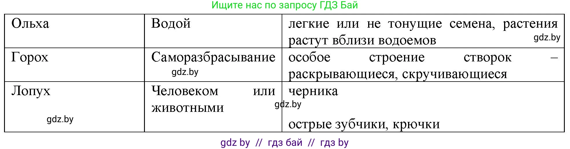 Биология, 10 класс Тетрадь для лабораторных и практических работ, автор: Хруцкая Тамара Викторовна, издательство Аверсэв, Минск, 2020, зелёного цвета, страница 39, номер 5, Решение (продолжение 2)