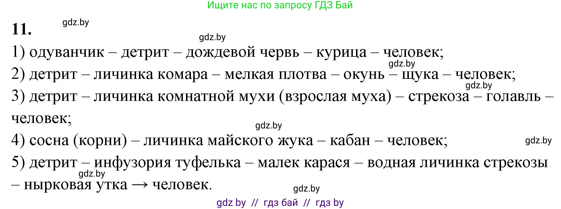 Биология, 10 класс Тетрадь для лабораторных и практических работ, автор: Хруцкая Тамара Викторовна, издательство Аверсэв, Минск, 2020, зелёного цвета, страница 87, номер 11, Решение