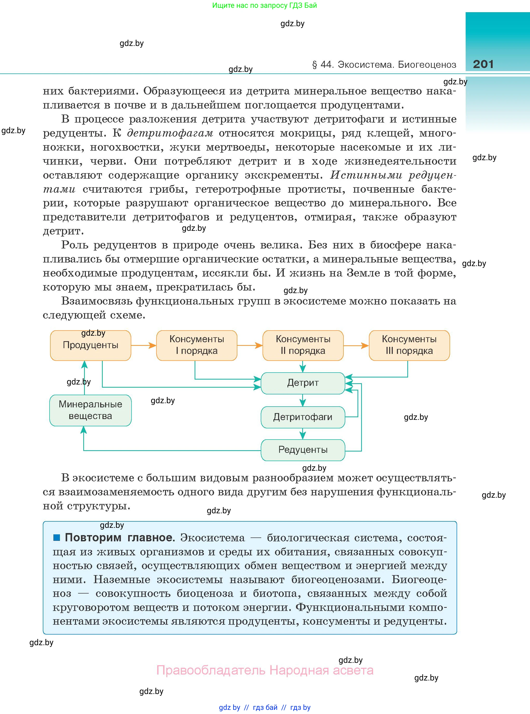 Биология, 10 класс Учебник, авторы: Маглыш Сабина Степановна, Кравченко Вячеслав Анатольевич, Довгун Татьяна Яновна, издательство Народная асвета, Минск, 2020, зелёного цвета, страница 201