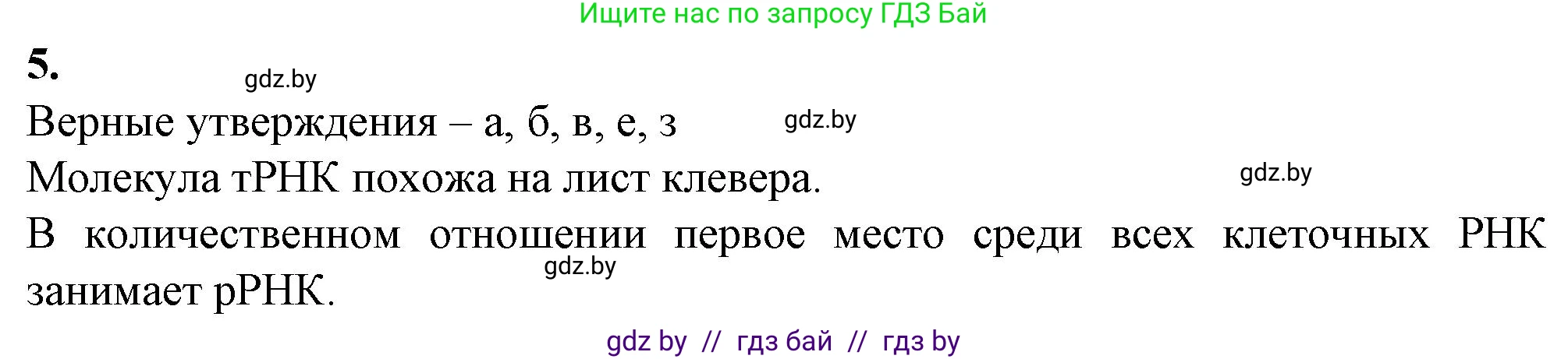 Биология, 11 класс рабочая тетрадь, авторы: Дашков Максим Леонидович, Головач Алексей Михайлович, издательство Аверсэв, Минск, 2021, жёлтого цвета, страница 19, номер 5, Решение