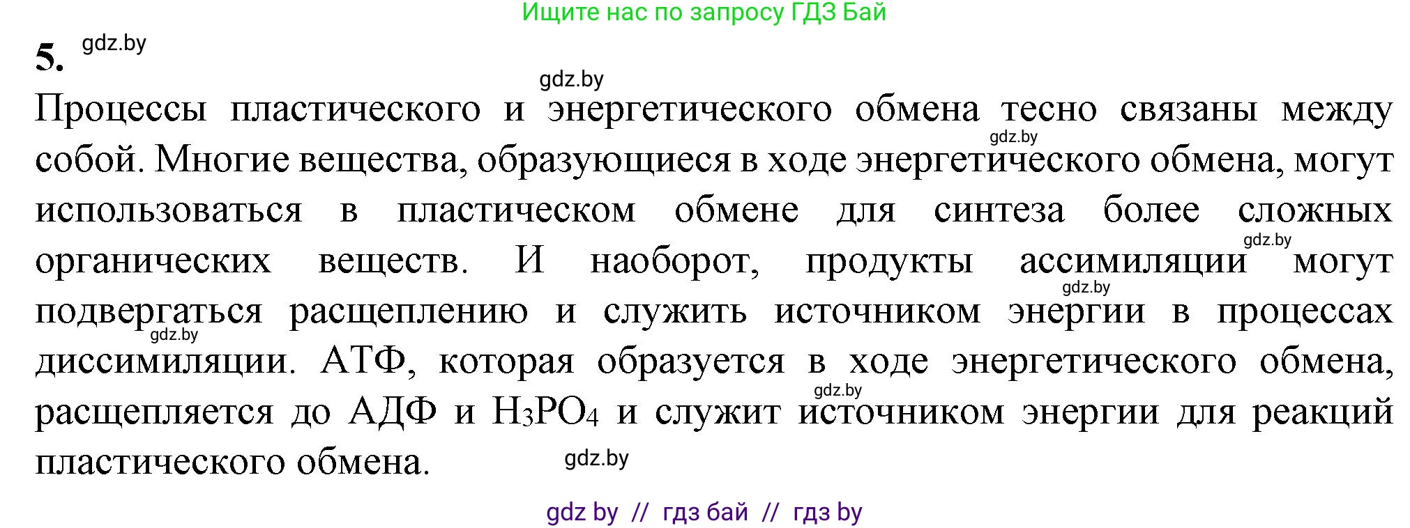 Биология, 11 класс рабочая тетрадь, авторы: Дашков Максим Леонидович, Головач Алексей Михайлович, издательство Аверсэв, Минск, 2021, жёлтого цвета, страница 48, номер 5, Решение