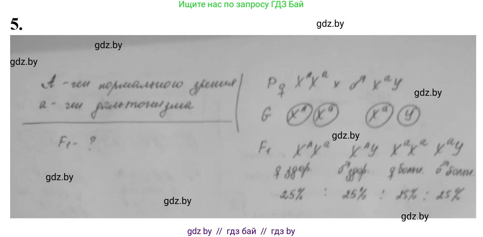 Биология, 11 класс рабочая тетрадь, авторы: Дашков Максим Леонидович, Головач Алексей Михайлович, издательство Аверсэв, Минск, 2021, жёлтого цвета, страница 83, номер 5, Решение