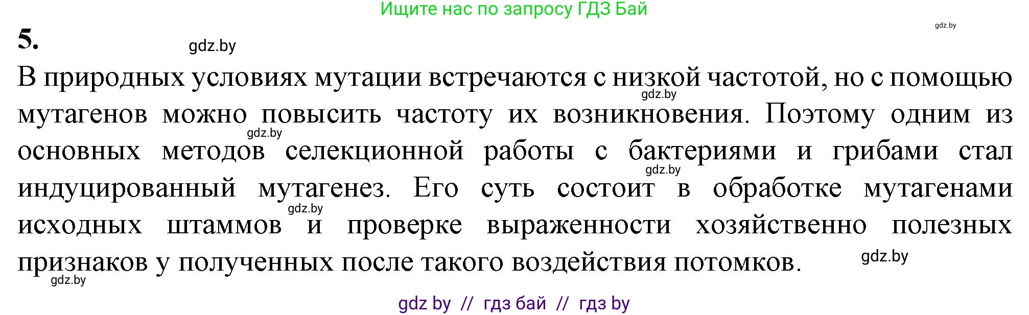 Биология, 11 класс рабочая тетрадь, авторы: Дашков Максим Леонидович, Головач Алексей Михайлович, издательство Аверсэв, Минск, 2021, жёлтого цвета, страница 97, номер 5, Решение