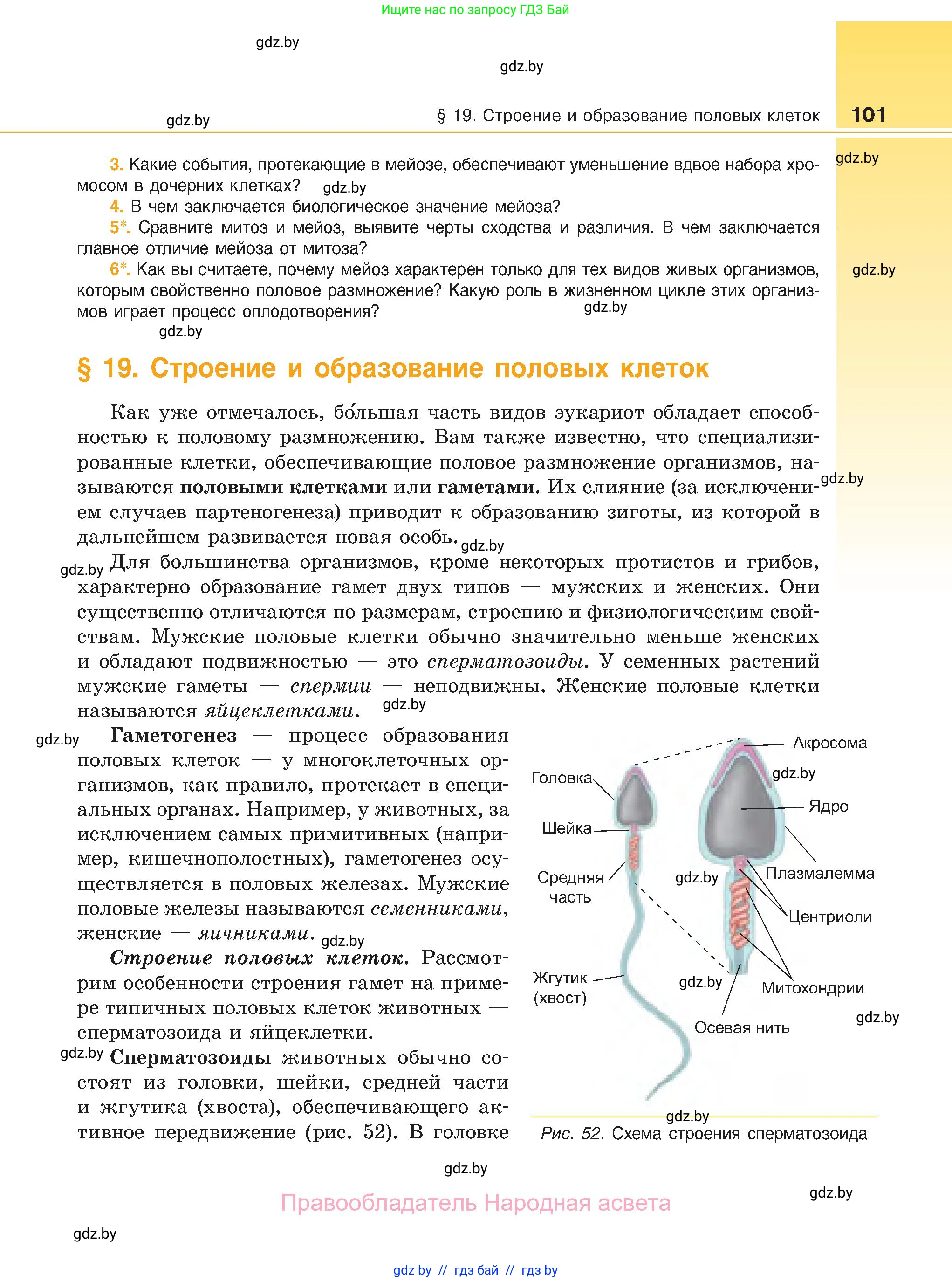 Биология, 11 класс Учебник, авторы: Дашков Максим Леонидович, Песнякевич Александр Георгиевич, Головач Алексей Михайлович, издательство Народная асвета, Минск, 2021, голубого цвета, страница 101