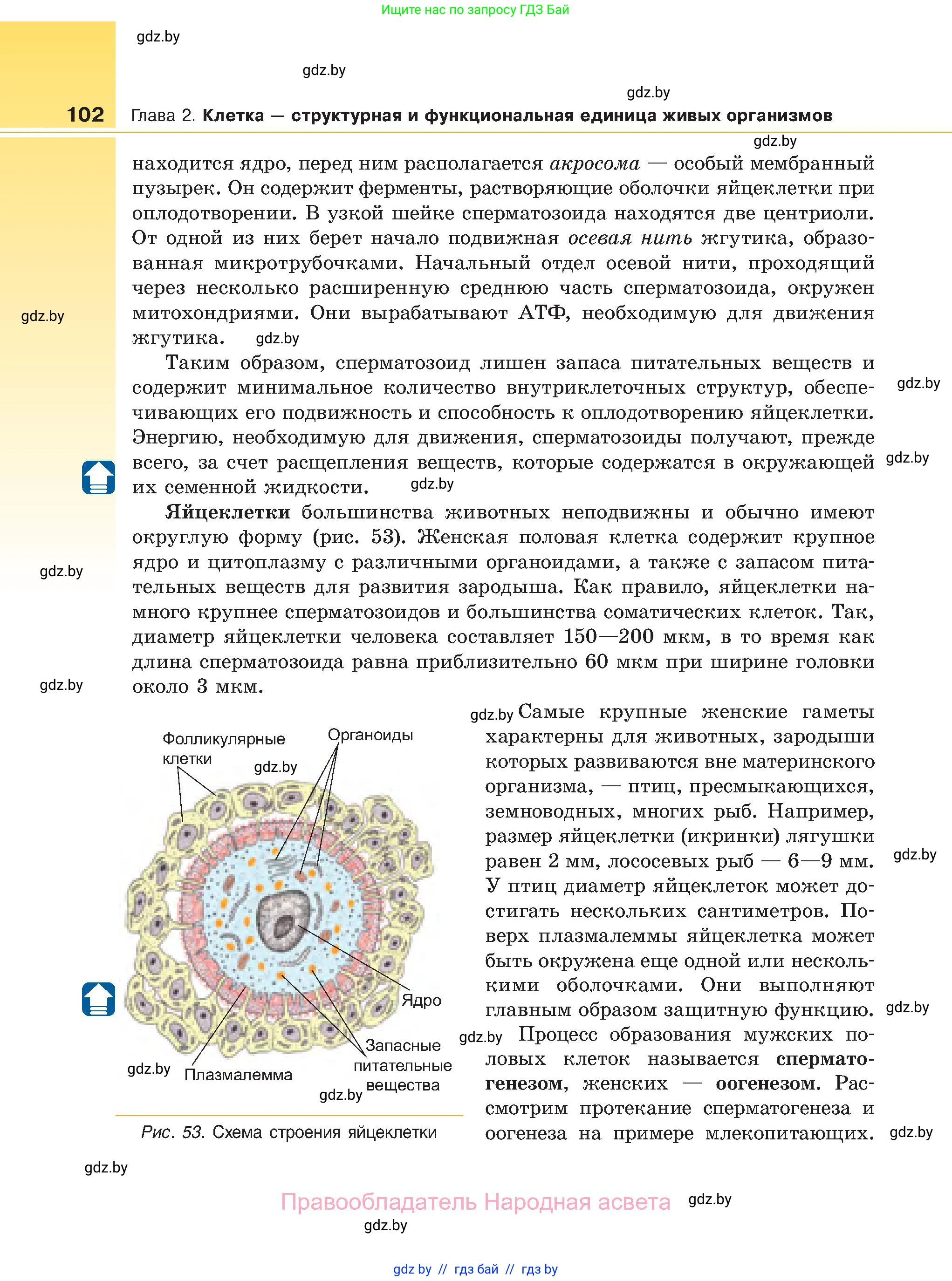 Биология, 11 класс Учебник, авторы: Дашков Максим Леонидович, Песнякевич Александр Георгиевич, Головач Алексей Михайлович, издательство Народная асвета, Минск, 2021, голубого цвета, страница 102