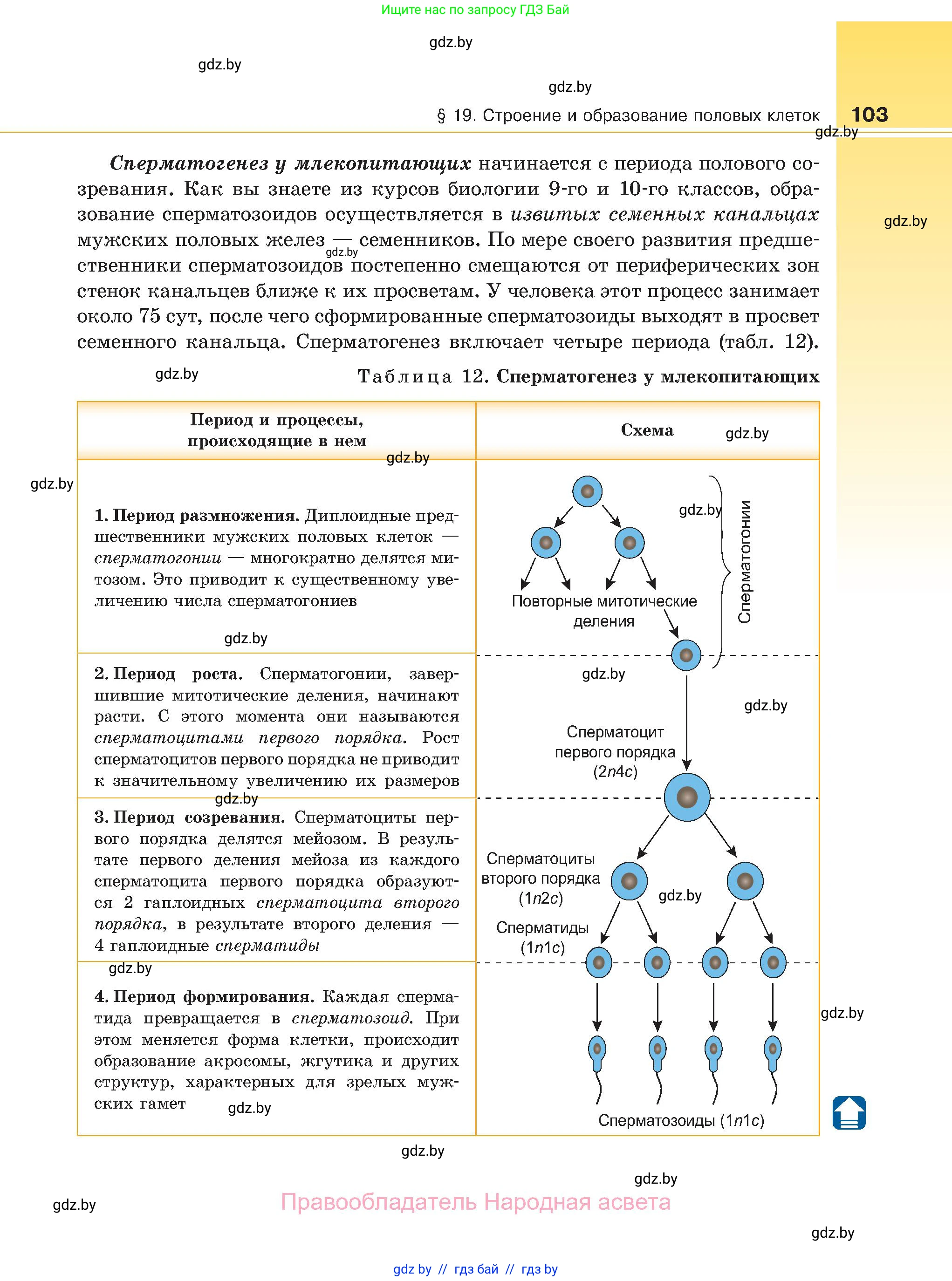 Биология, 11 класс Учебник, авторы: Дашков Максим Леонидович, Песнякевич Александр Георгиевич, Головач Алексей Михайлович, издательство Народная асвета, Минск, 2021, голубого цвета, страница 103