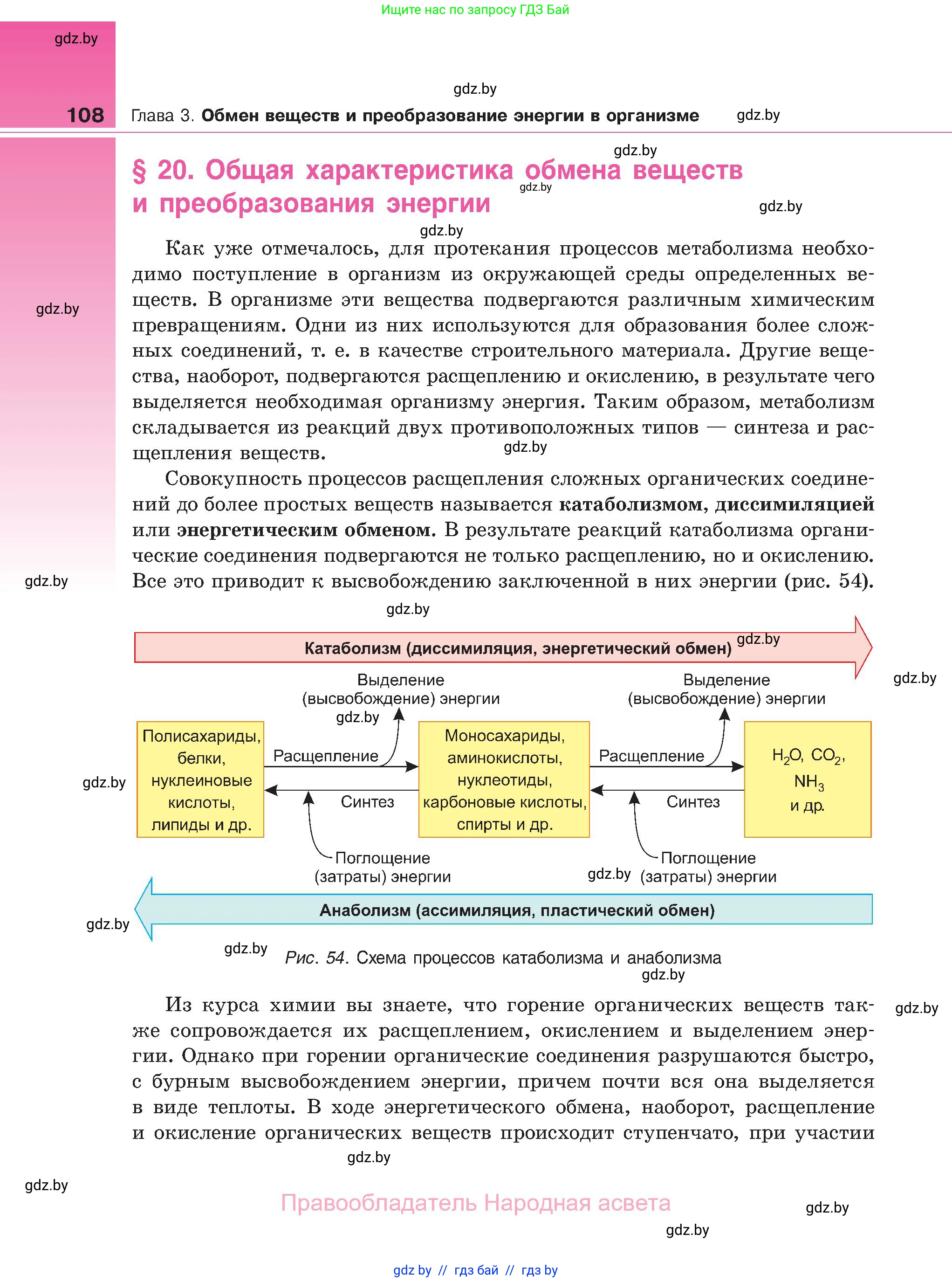 Биология, 11 класс Учебник, авторы: Дашков Максим Леонидович, Песнякевич Александр Георгиевич, Головач Алексей Михайлович, издательство Народная асвета, Минск, 2021, голубого цвета, страница 108