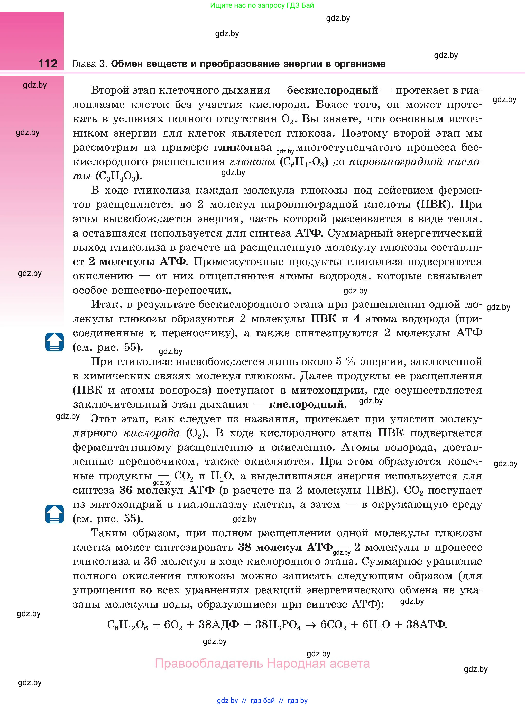 Биология, 11 класс Учебник, авторы: Дашков Максим Леонидович, Песнякевич Александр Георгиевич, Головач Алексей Михайлович, издательство Народная асвета, Минск, 2021, голубого цвета, страница 112