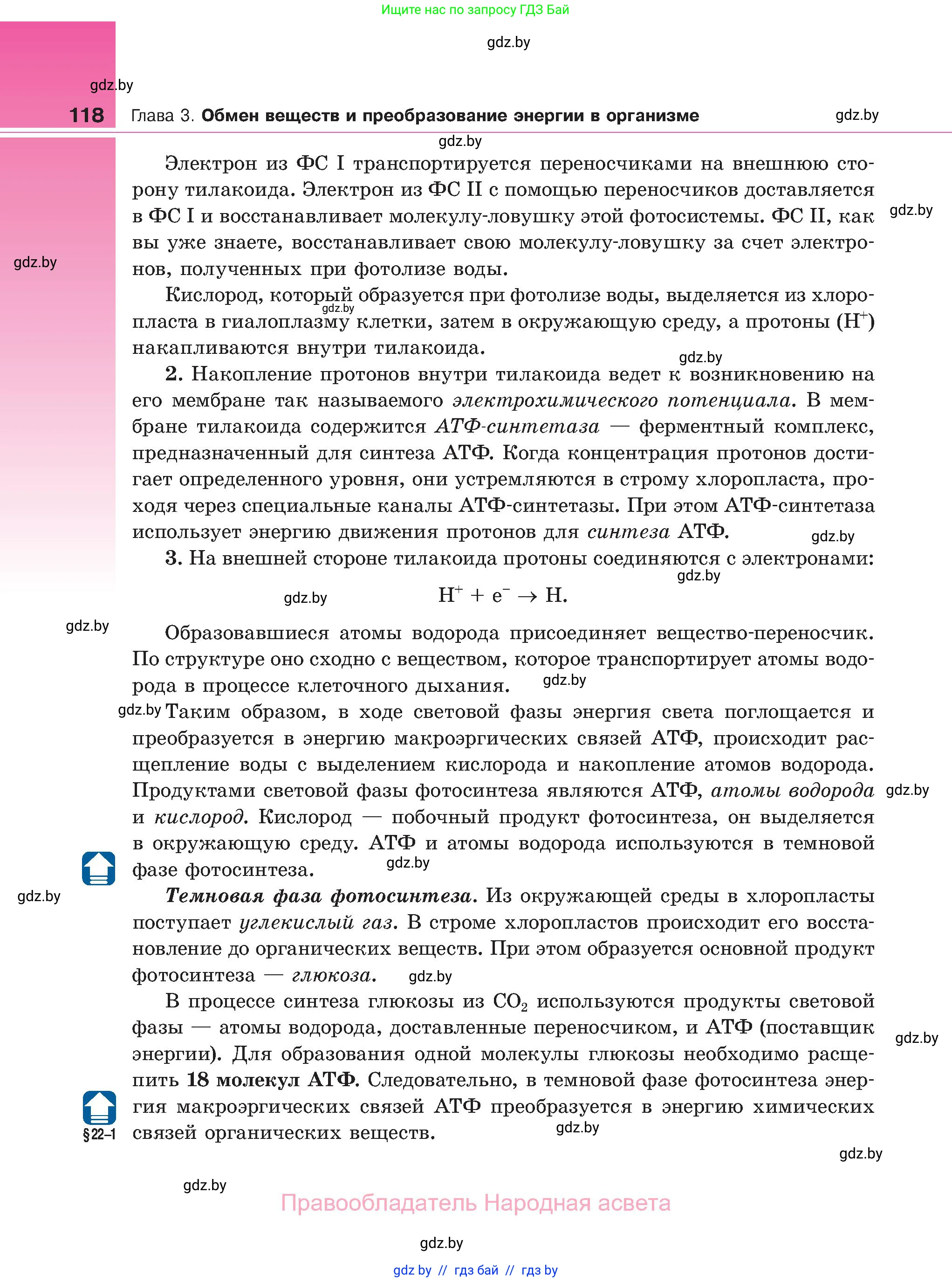 Биология, 11 класс Учебник, авторы: Дашков Максим Леонидович, Песнякевич Александр Георгиевич, Головач Алексей Михайлович, издательство Народная асвета, Минск, 2021, голубого цвета, страница 118