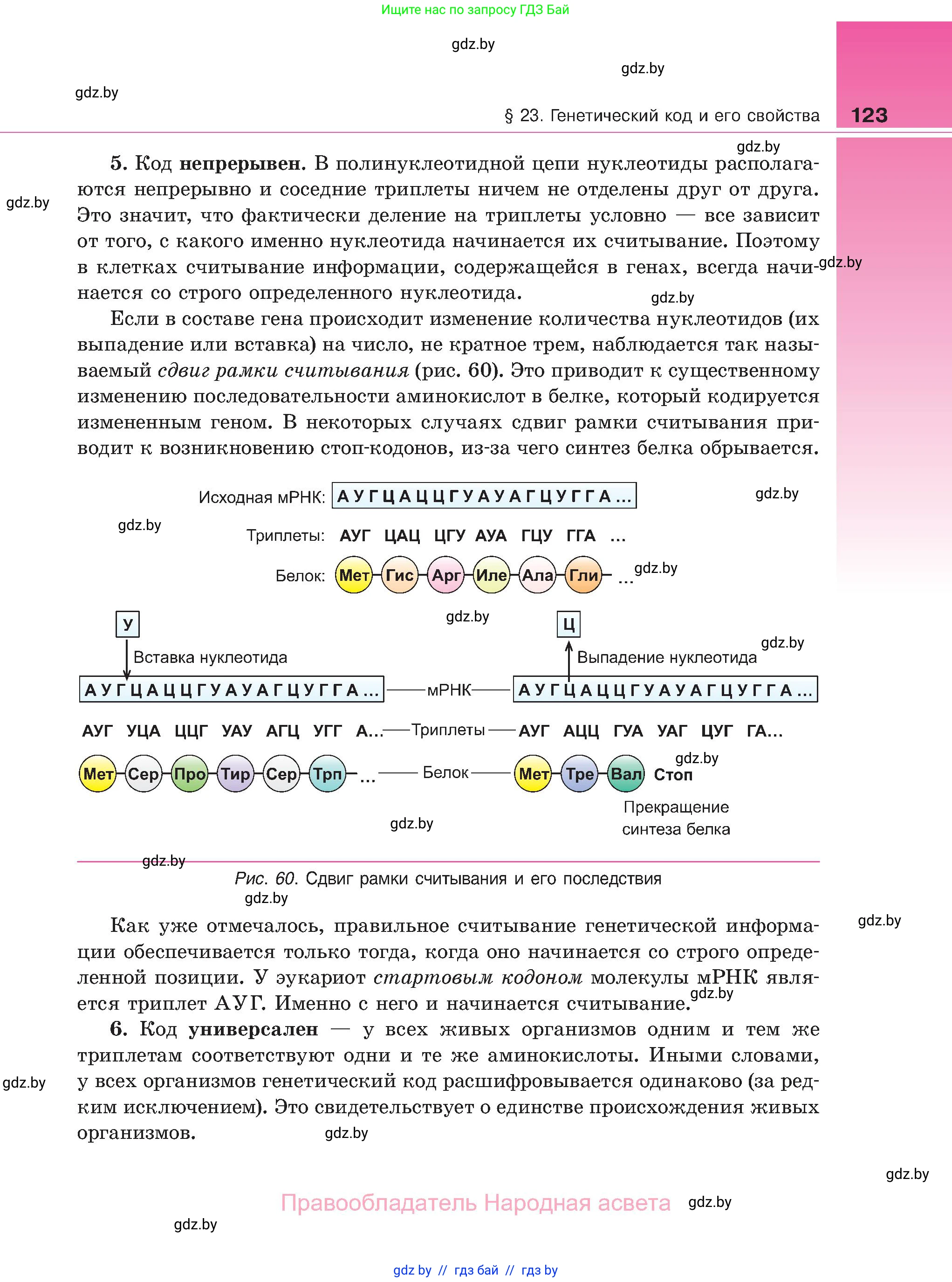 Биология, 11 класс Учебник, авторы: Дашков Максим Леонидович, Песнякевич Александр Георгиевич, Головач Алексей Михайлович, издательство Народная асвета, Минск, 2021, голубого цвета, страница 123