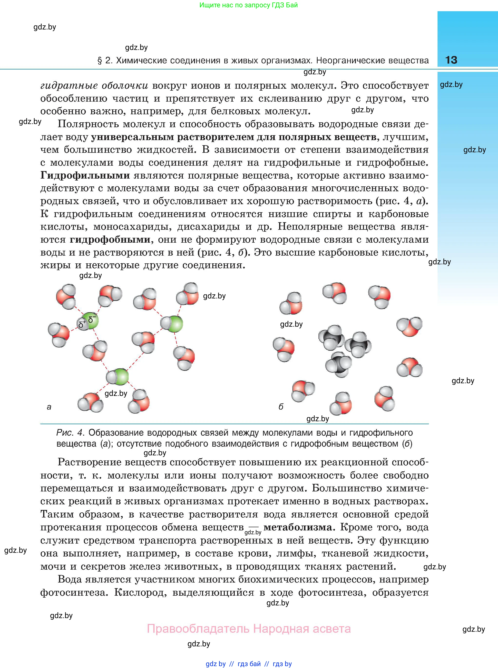 Биология, 11 класс Учебник, авторы: Дашков Максим Леонидович, Песнякевич Александр Георгиевич, Головач Алексей Михайлович, издательство Народная асвета, Минск, 2021, голубого цвета, страница 13