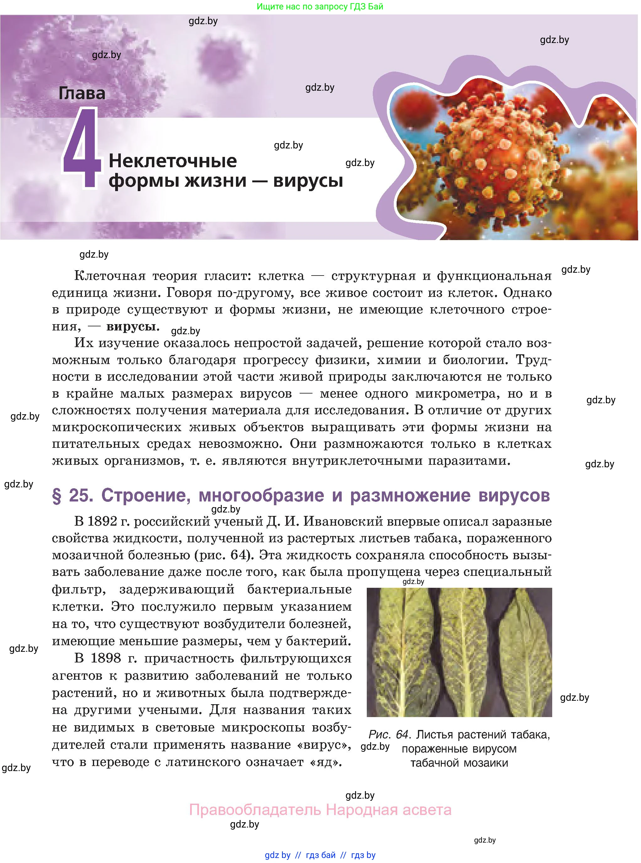 Биология, 11 класс Учебник, авторы: Дашков Максим Леонидович, Песнякевич Александр Георгиевич, Головач Алексей Михайлович, издательство Народная асвета, Минск, 2021, голубого цвета, страница 131