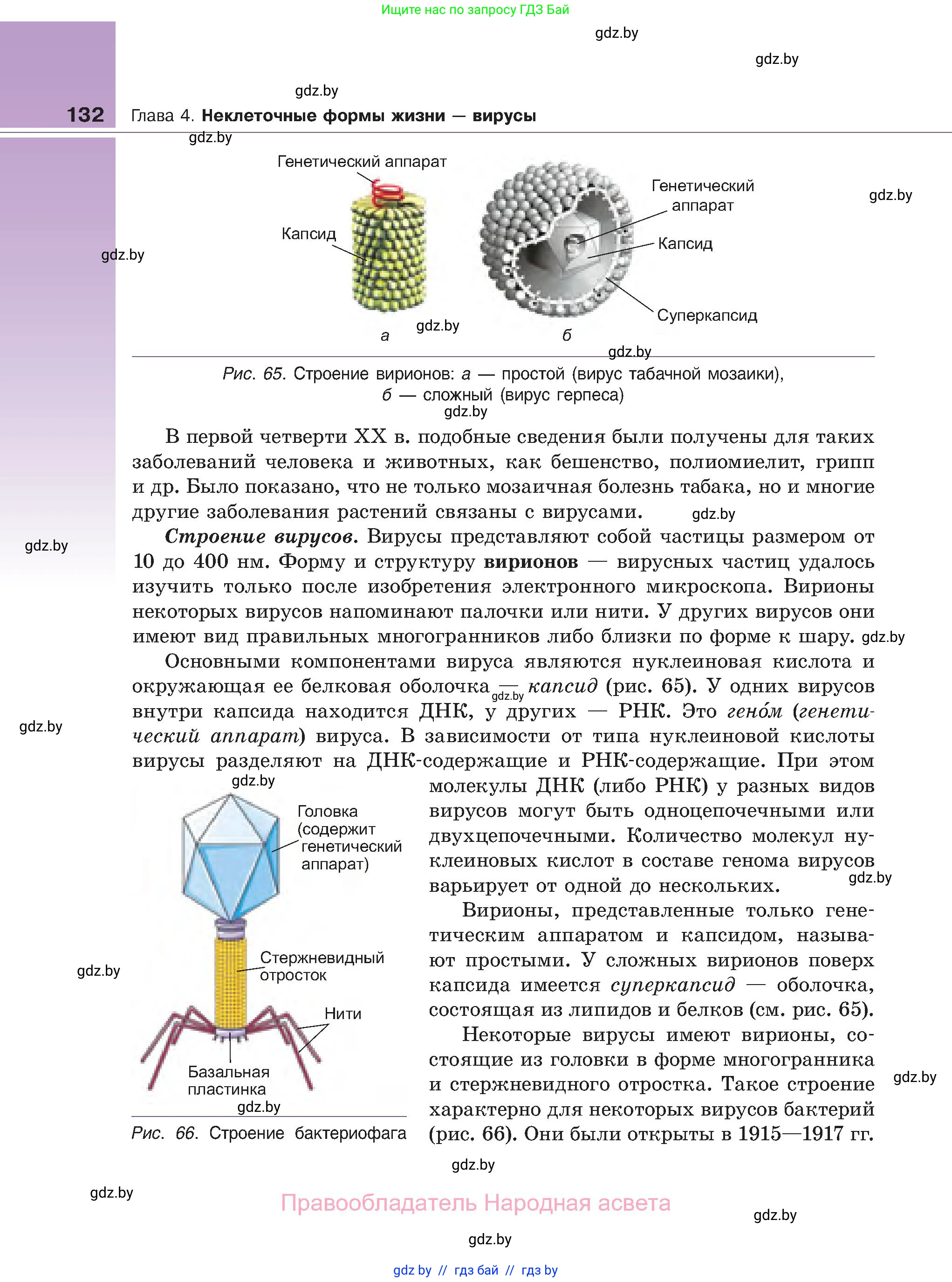 Биология, 11 класс Учебник, авторы: Дашков Максим Леонидович, Песнякевич Александр Георгиевич, Головач Алексей Михайлович, издательство Народная асвета, Минск, 2021, голубого цвета, страница 132