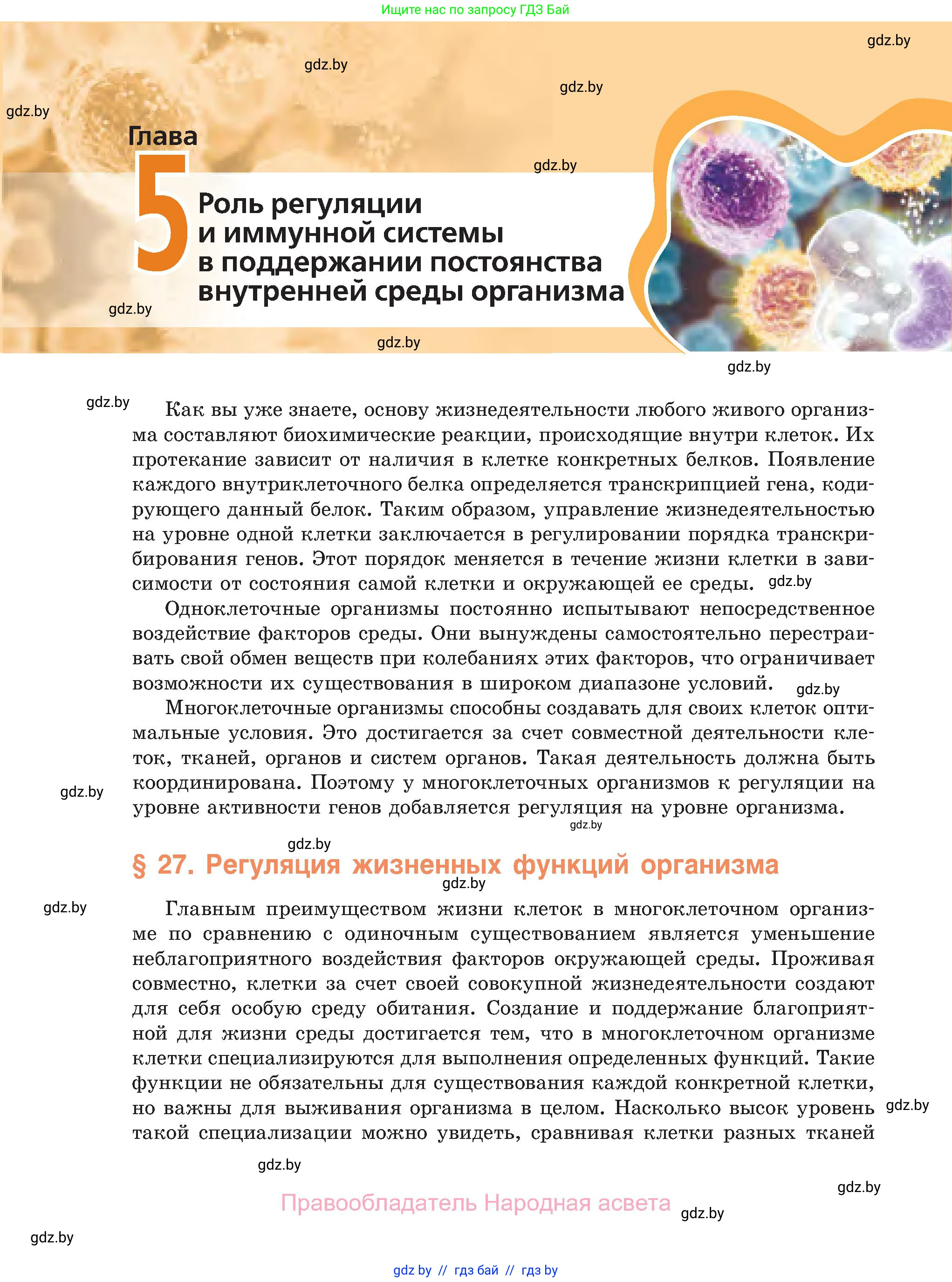 Биология, 11 класс Учебник, авторы: Дашков Максим Леонидович, Песнякевич Александр Георгиевич, Головач Алексей Михайлович, издательство Народная асвета, Минск, 2021, голубого цвета, страница 142