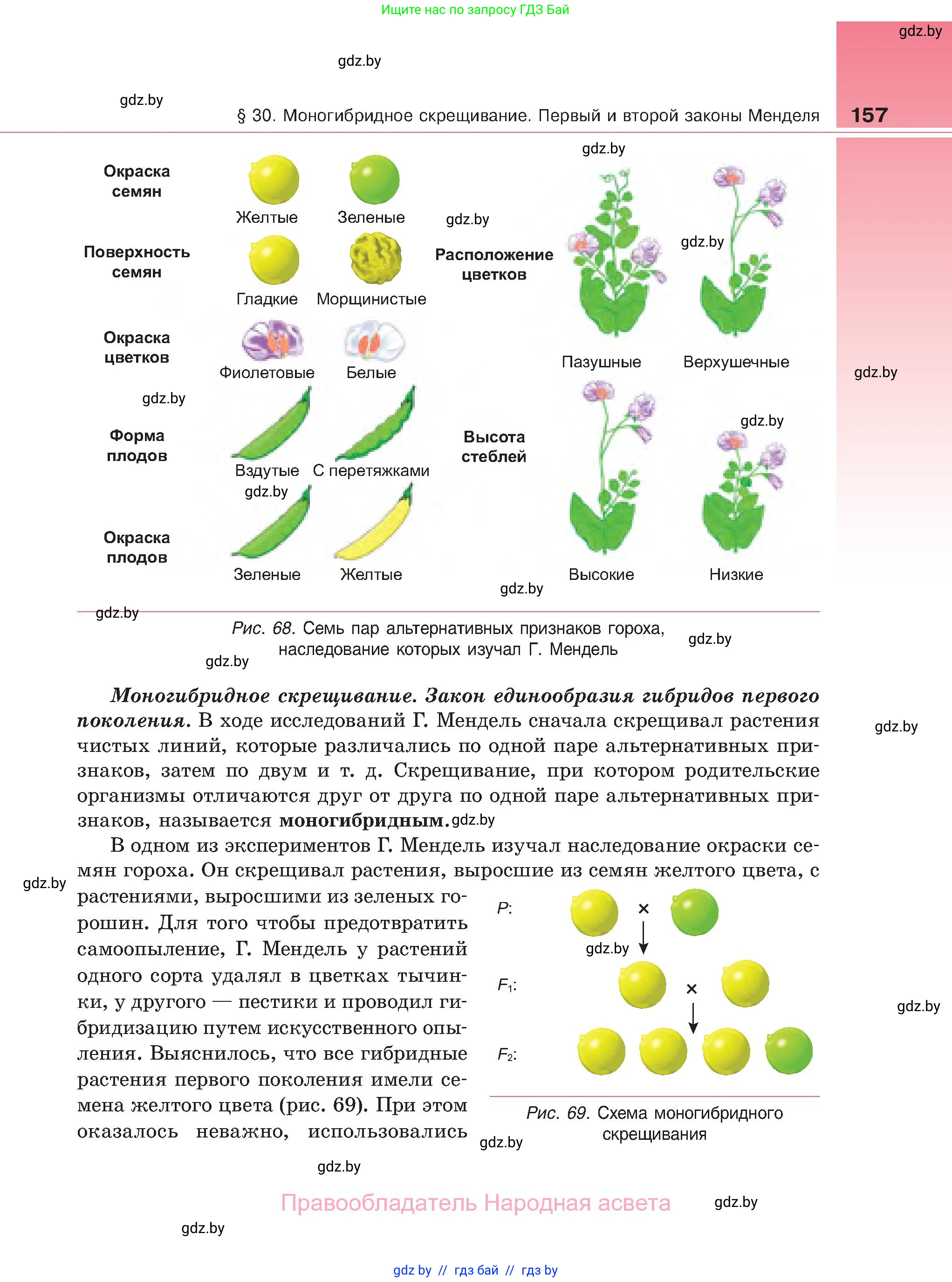 Биология, 11 класс Учебник, авторы: Дашков Максим Леонидович, Песнякевич Александр Георгиевич, Головач Алексей Михайлович, издательство Народная асвета, Минск, 2021, голубого цвета, страница 157