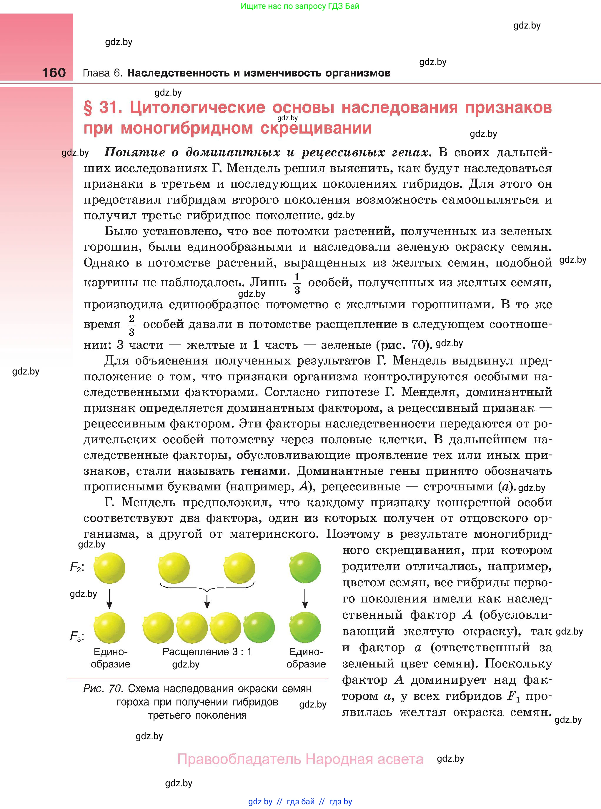 Биология, 11 класс Учебник, авторы: Дашков Максим Леонидович, Песнякевич Александр Георгиевич, Головач Алексей Михайлович, издательство Народная асвета, Минск, 2021, голубого цвета, страница 160