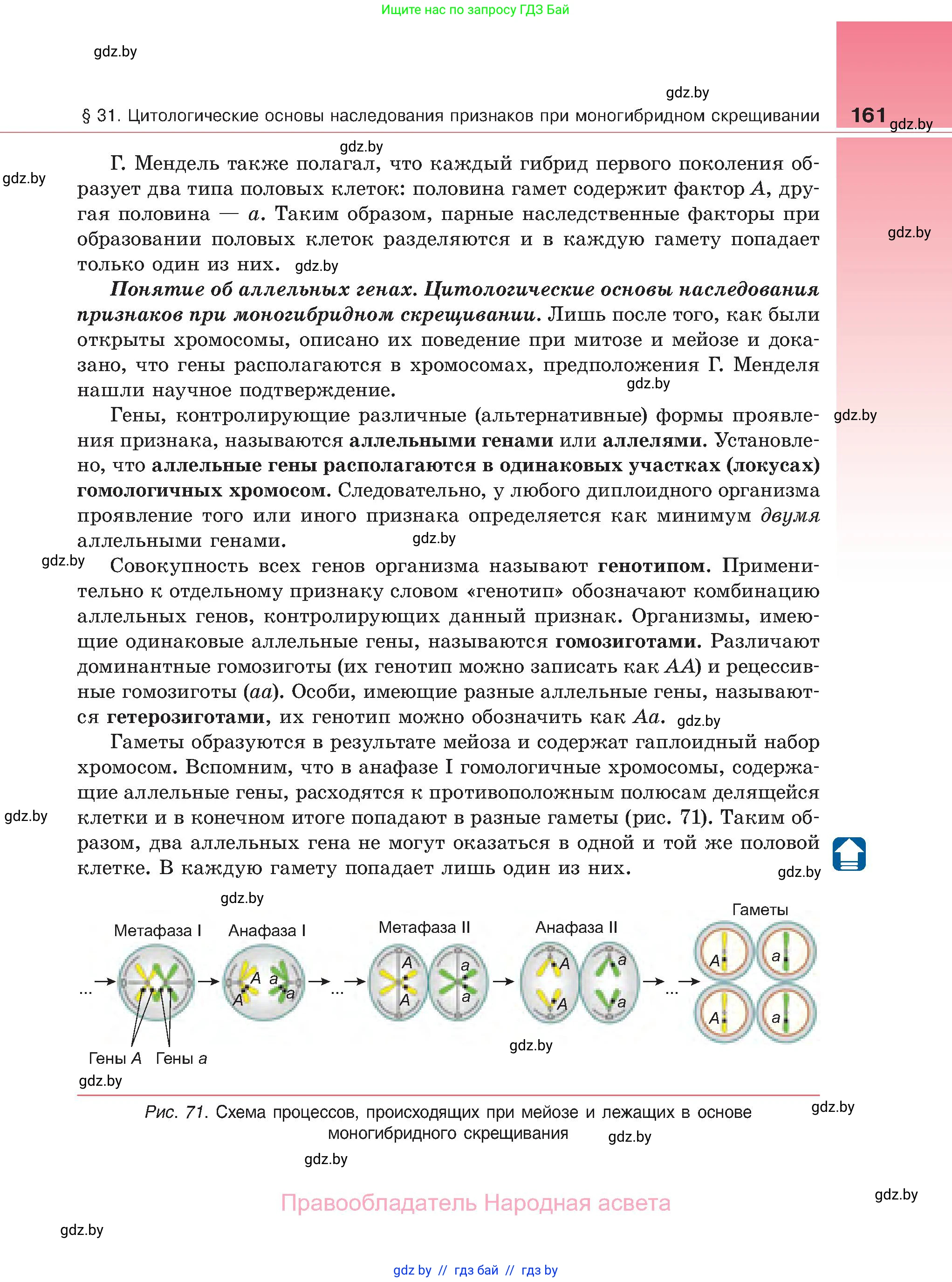 Биология, 11 класс Учебник, авторы: Дашков Максим Леонидович, Песнякевич Александр Георгиевич, Головач Алексей Михайлович, издательство Народная асвета, Минск, 2021, голубого цвета, страница 161