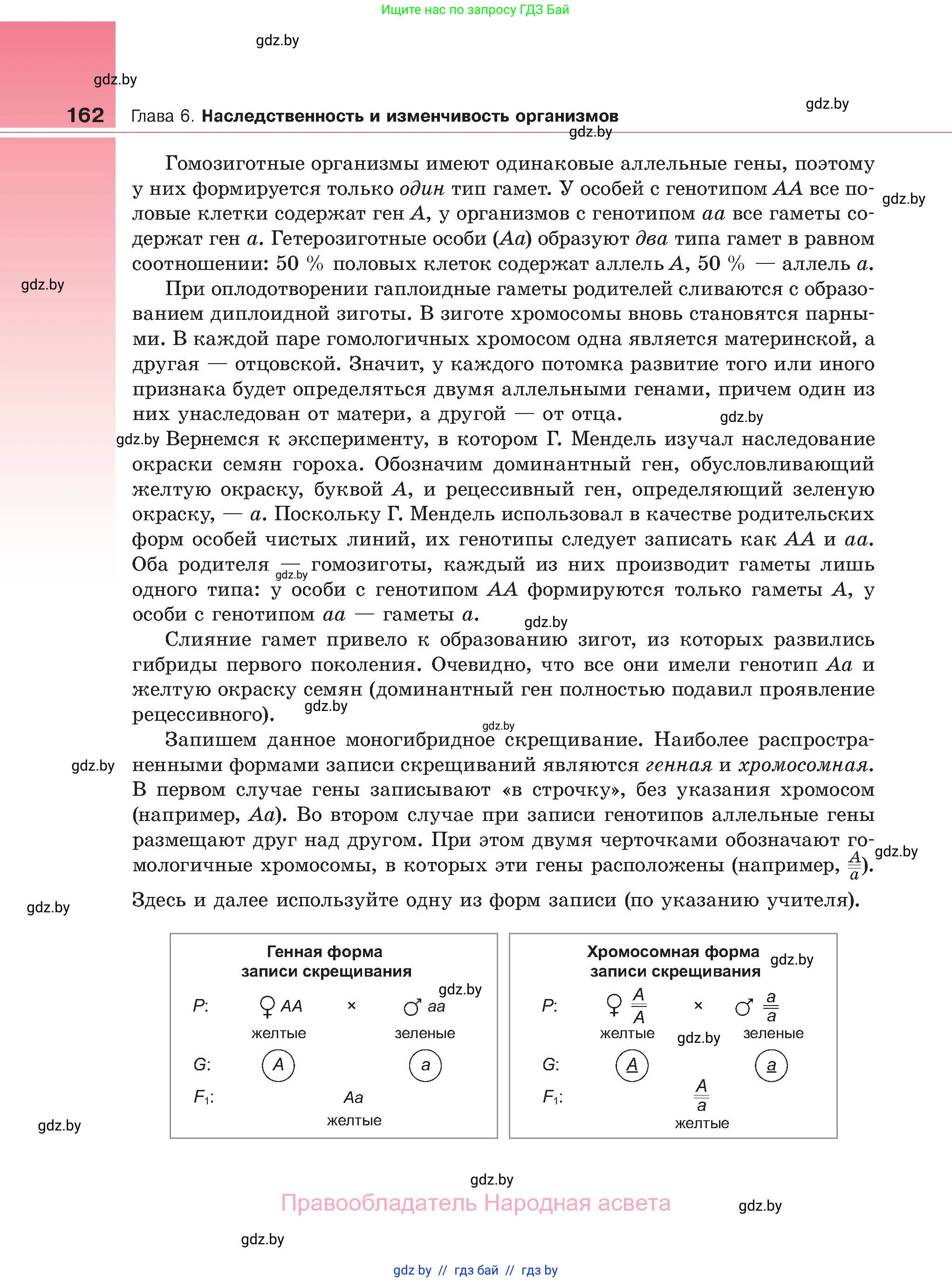 Биология, 11 класс Учебник, авторы: Дашков Максим Леонидович, Песнякевич Александр Георгиевич, Головач Алексей Михайлович, издательство Народная асвета, Минск, 2021, голубого цвета, страница 162