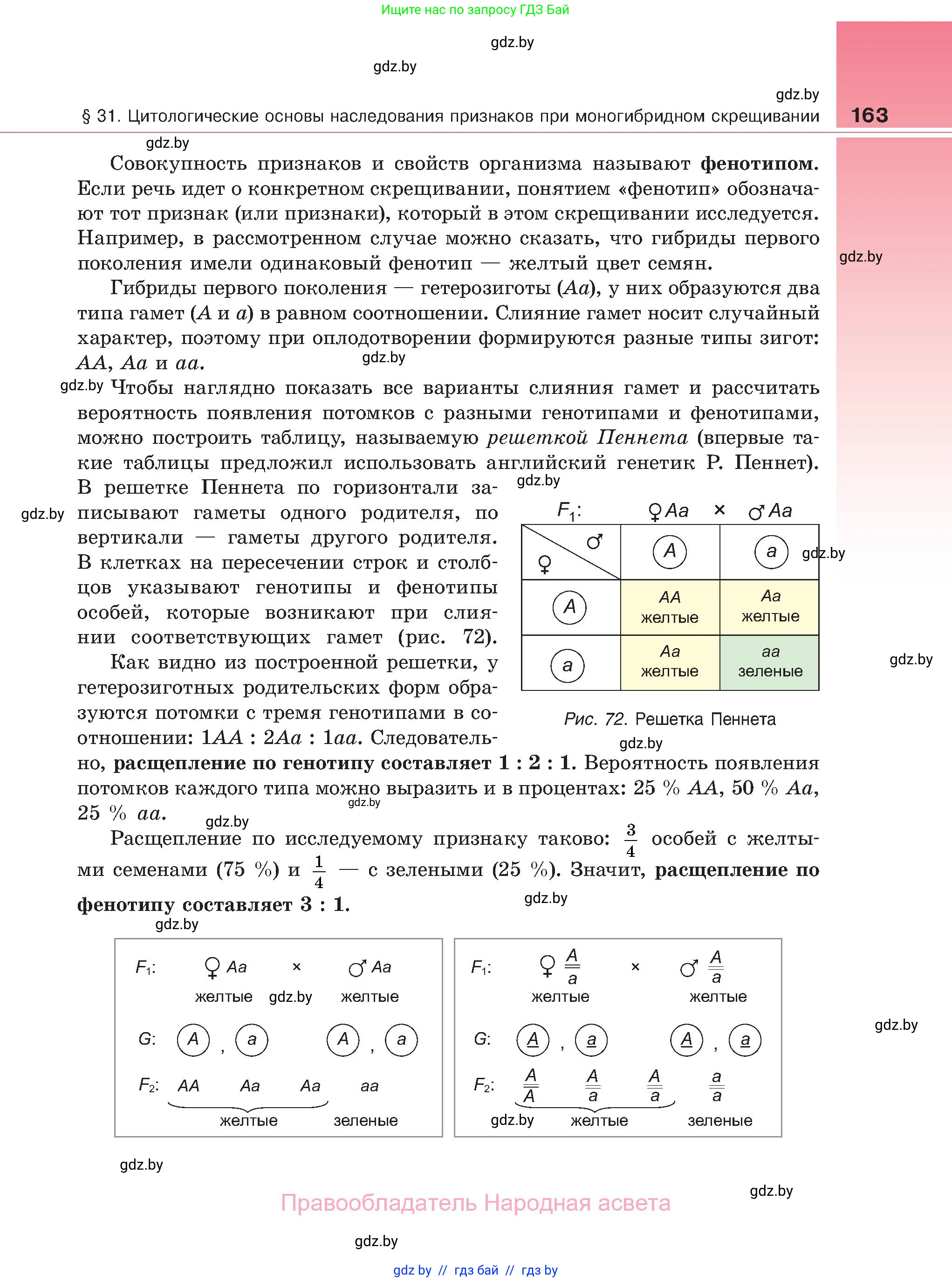 Биология, 11 класс Учебник, авторы: Дашков Максим Леонидович, Песнякевич Александр Георгиевич, Головач Алексей Михайлович, издательство Народная асвета, Минск, 2021, голубого цвета, страница 163