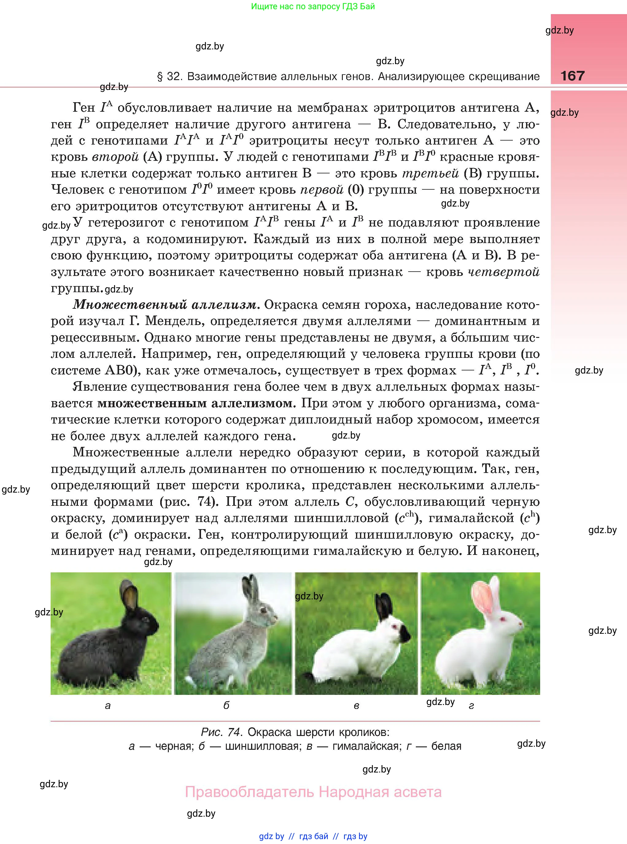 Биология, 11 класс Учебник, авторы: Дашков Максим Леонидович, Песнякевич Александр Георгиевич, Головач Алексей Михайлович, издательство Народная асвета, Минск, 2021, голубого цвета, страница 167