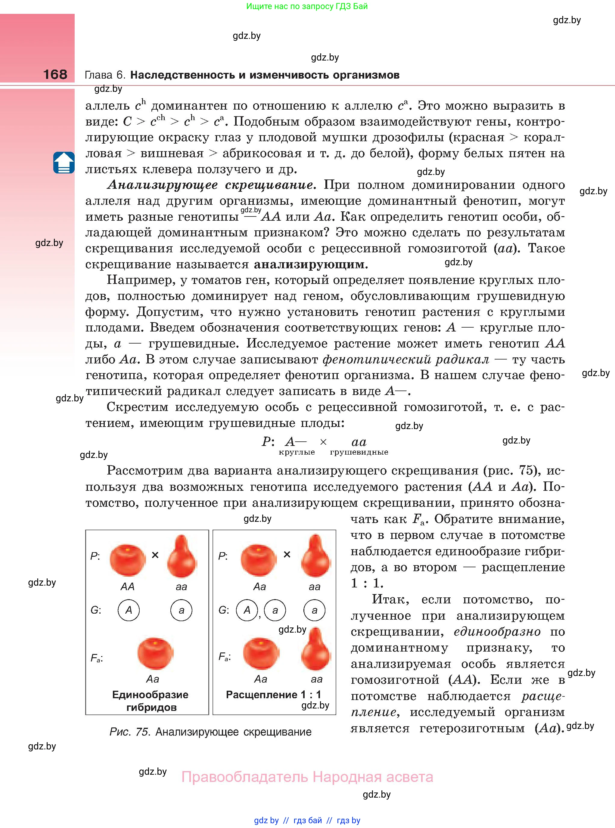 Биология, 11 класс Учебник, авторы: Дашков Максим Леонидович, Песнякевич Александр Георгиевич, Головач Алексей Михайлович, издательство Народная асвета, Минск, 2021, голубого цвета, страница 168