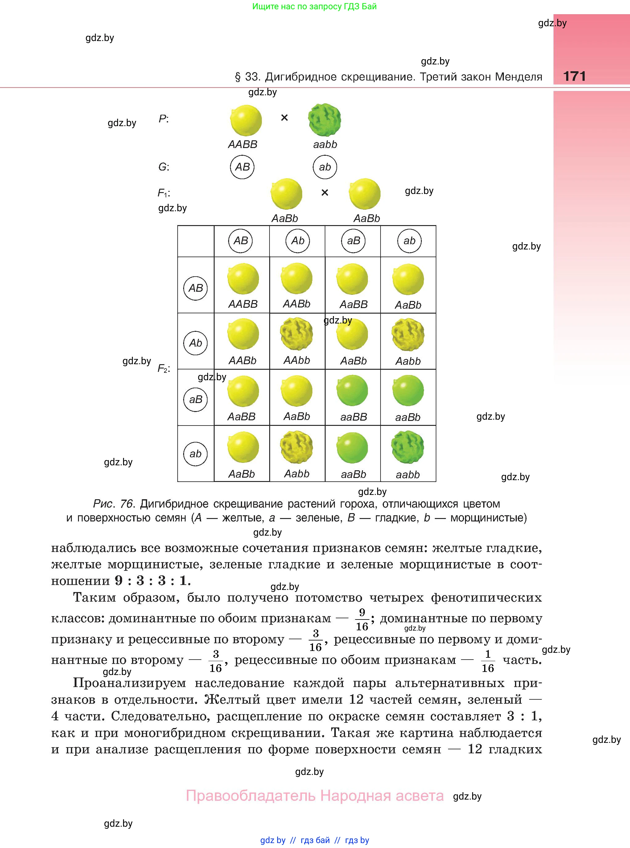 Биология, 11 класс Учебник, авторы: Дашков Максим Леонидович, Песнякевич Александр Георгиевич, Головач Алексей Михайлович, издательство Народная асвета, Минск, 2021, голубого цвета, страница 171