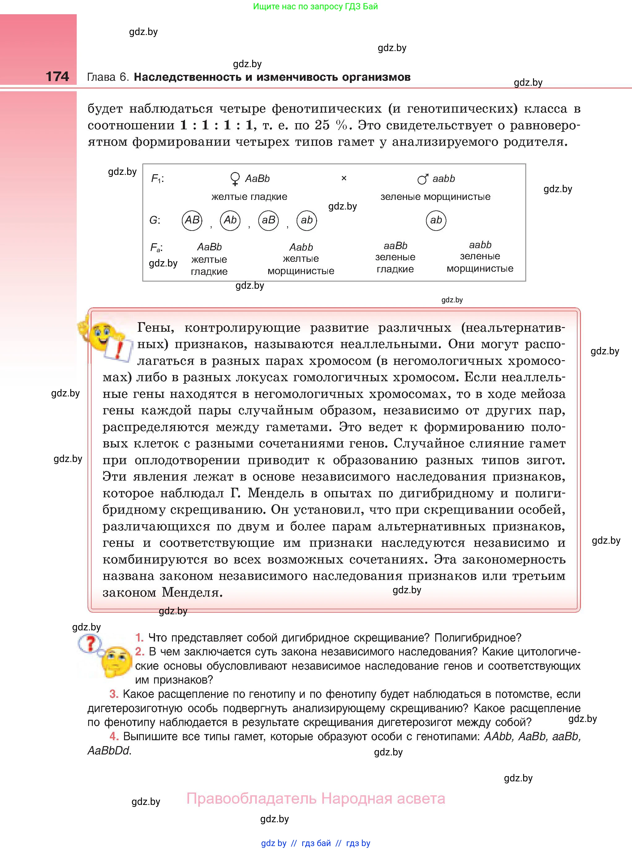 Биология, 11 класс Учебник, авторы: Дашков Максим Леонидович, Песнякевич Александр Георгиевич, Головач Алексей Михайлович, издательство Народная асвета, Минск, 2021, голубого цвета, страница 174