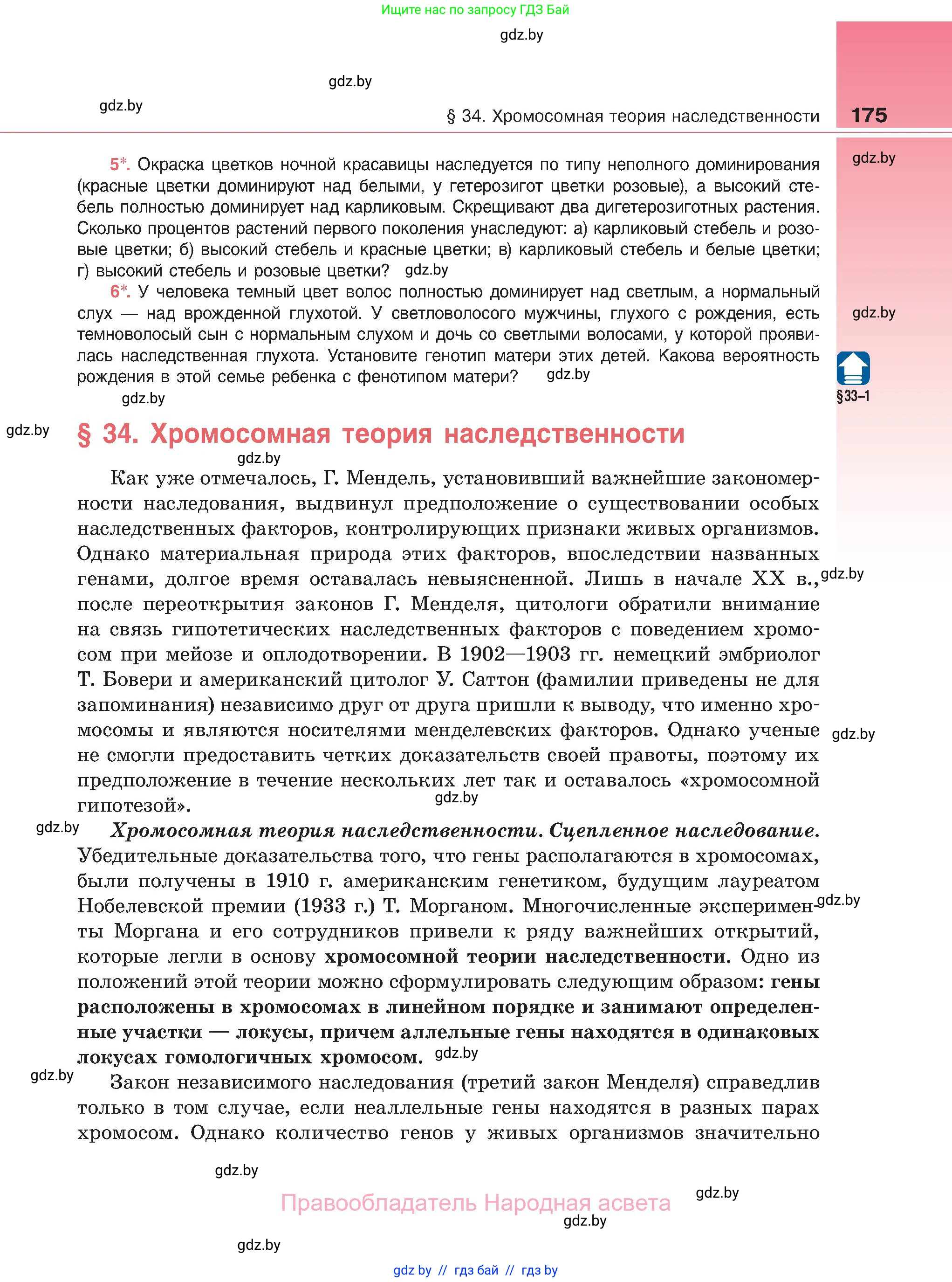 Биология, 11 класс Учебник, авторы: Дашков Максим Леонидович, Песнякевич Александр Георгиевич, Головач Алексей Михайлович, издательство Народная асвета, Минск, 2021, голубого цвета, страница 175